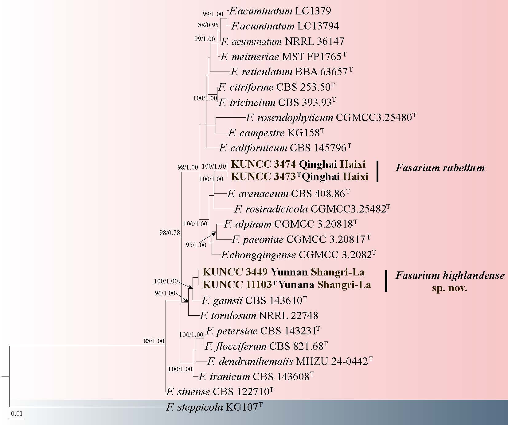 Figure 71